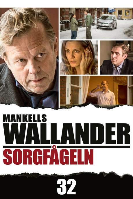 Wallander: The Sad Bird